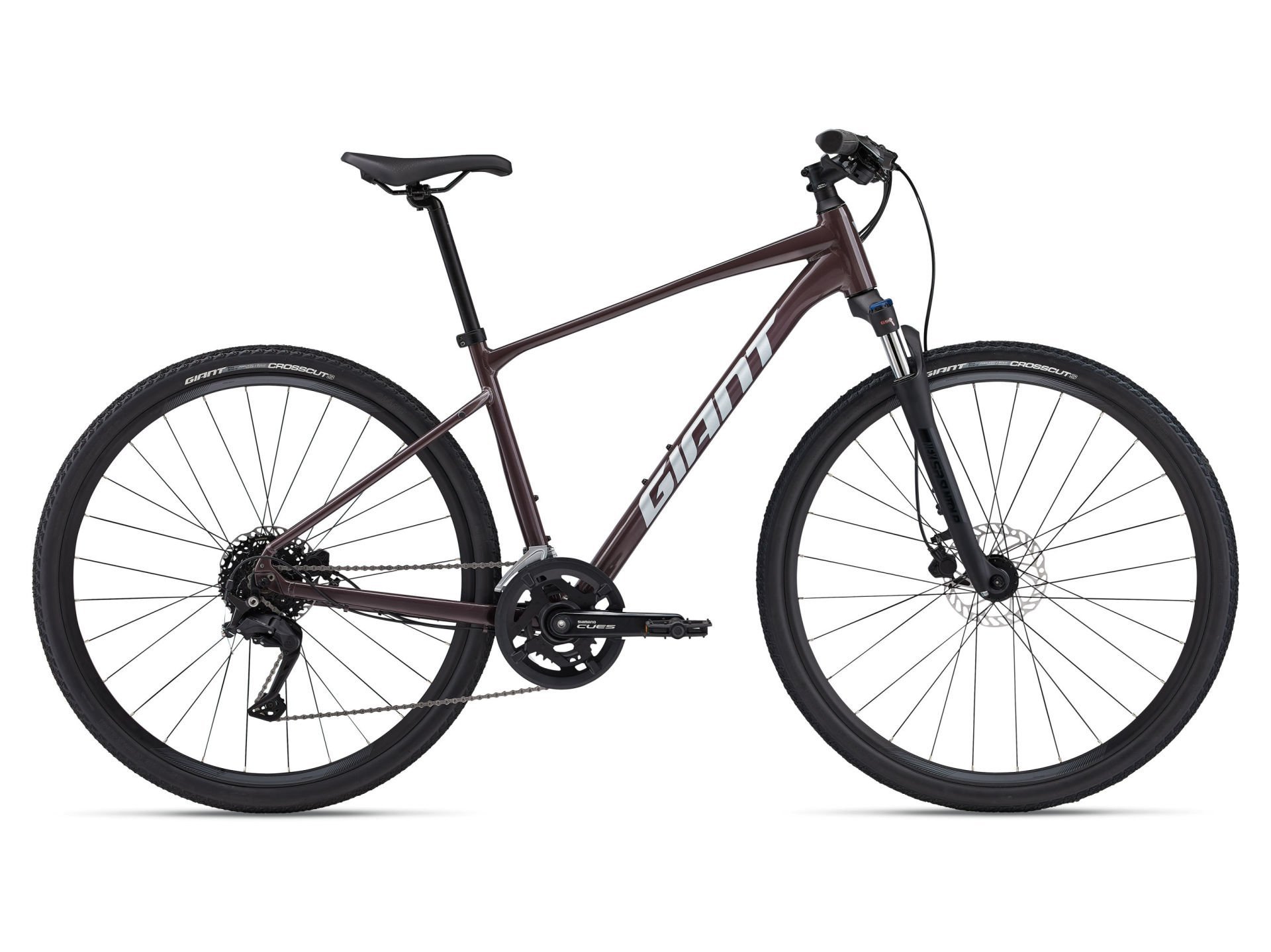 Roam 2 Disc Charcoal Plum | Hibrit Bisiklet