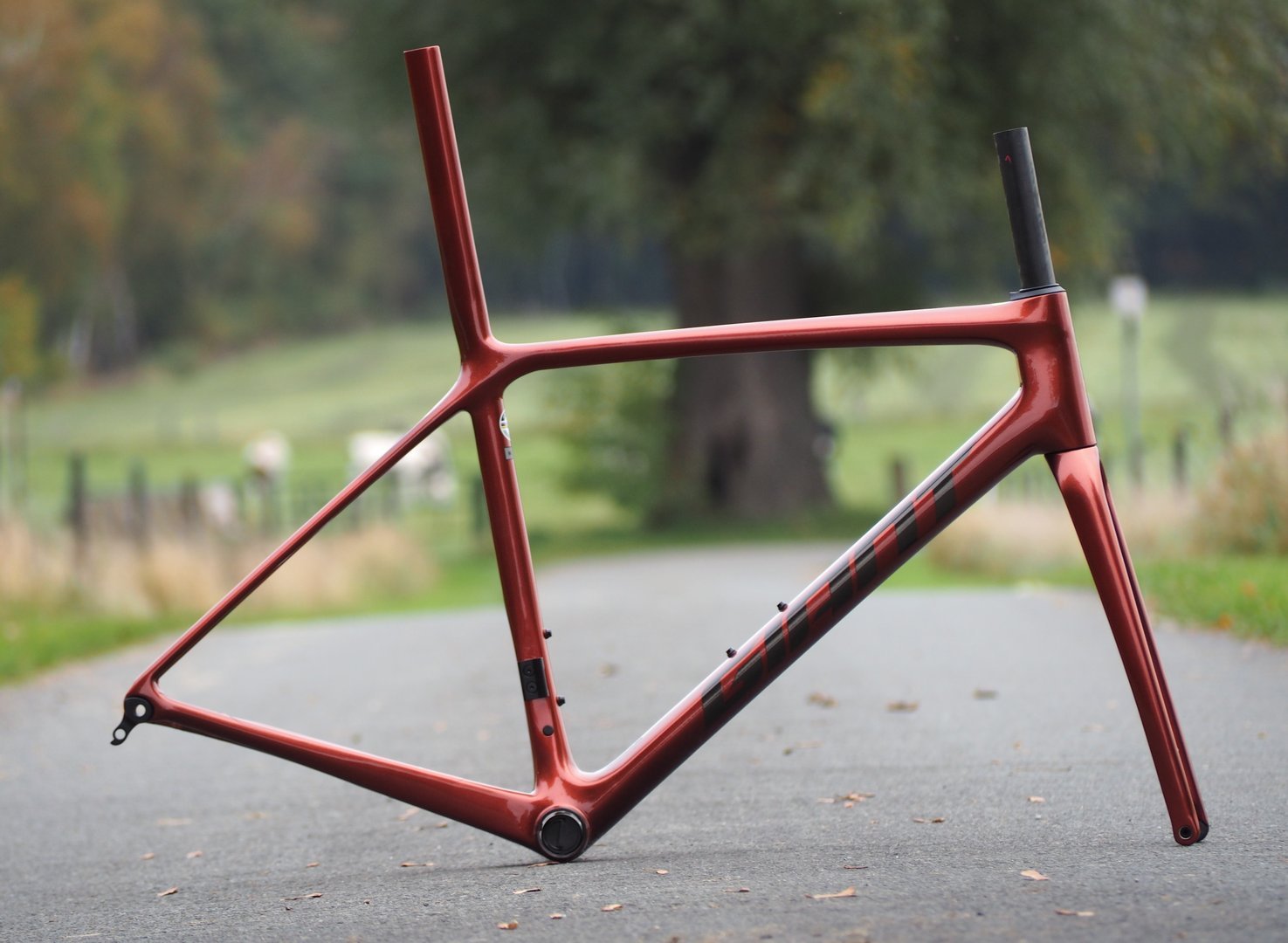 Surly big Dummy Frameset