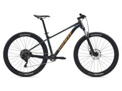 Talon 27.5 2 Asphalt Green | XC Dağ Bisikleti | Giant Bicycles Türkiye