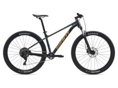 Talon 27.5 2 Asphalt Green | XC Dağ Bisikleti