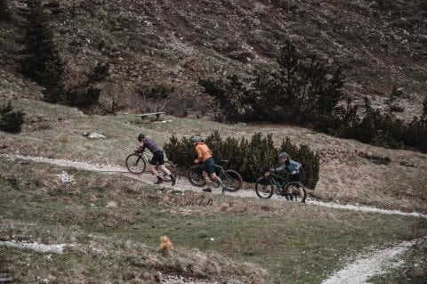 Biehler Performance Socks Olive