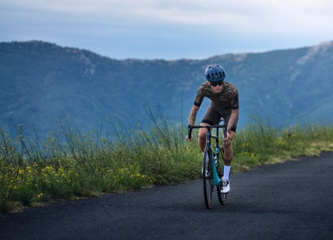 Supreme Jersey Golden Olive