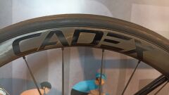 Propel Advanced SL Disc 0 | Holi Flare