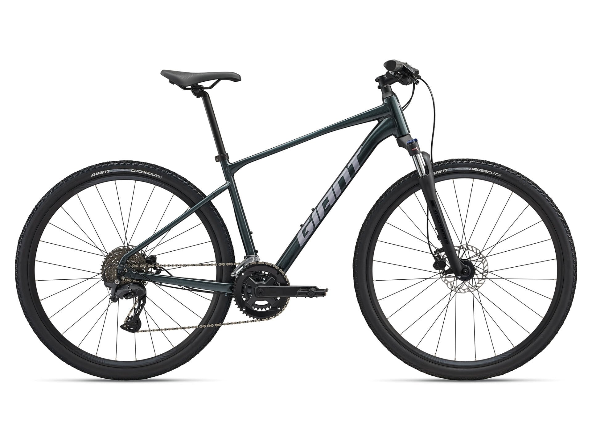 Roam 2 Disc Asphalt Green | Hibrit Bisiklet