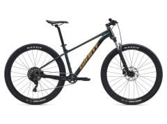 Talon 29 2 Asphalt Green | XC Dağ Bisikleti