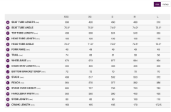 Langma Advanced Pro 1 | Fancy White