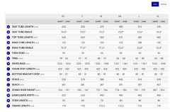 Revolt Advanced 2 Carbon | Gravel Bisiklet